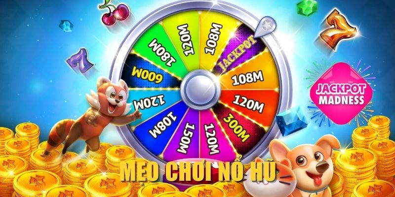 meo-choi-no-hu