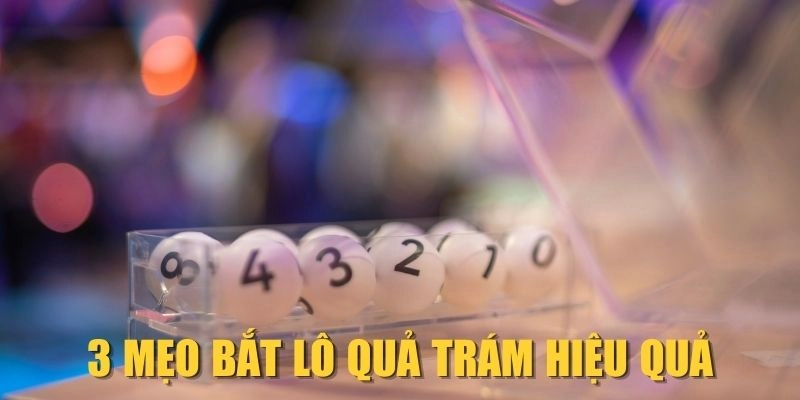 rr88-3-meo-bat-lo-qua-tram-hieu-qua