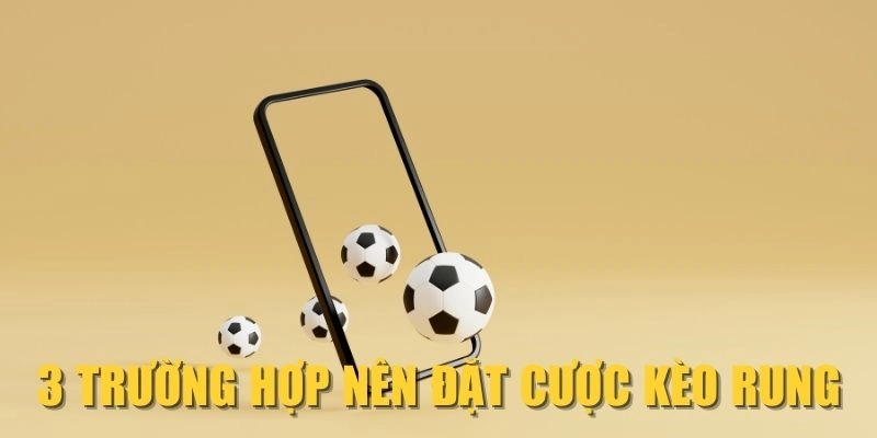 rr88-3-truong-hop-nen-dat-cuoc-keo-ru