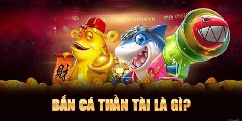 rr88-doi-chut-thong-tin-ve-san-quai