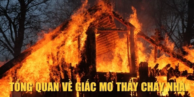rr88-tong-quan-ve-giac-mo-thay-chay-n